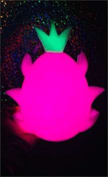 customise dragon fruit stick led light