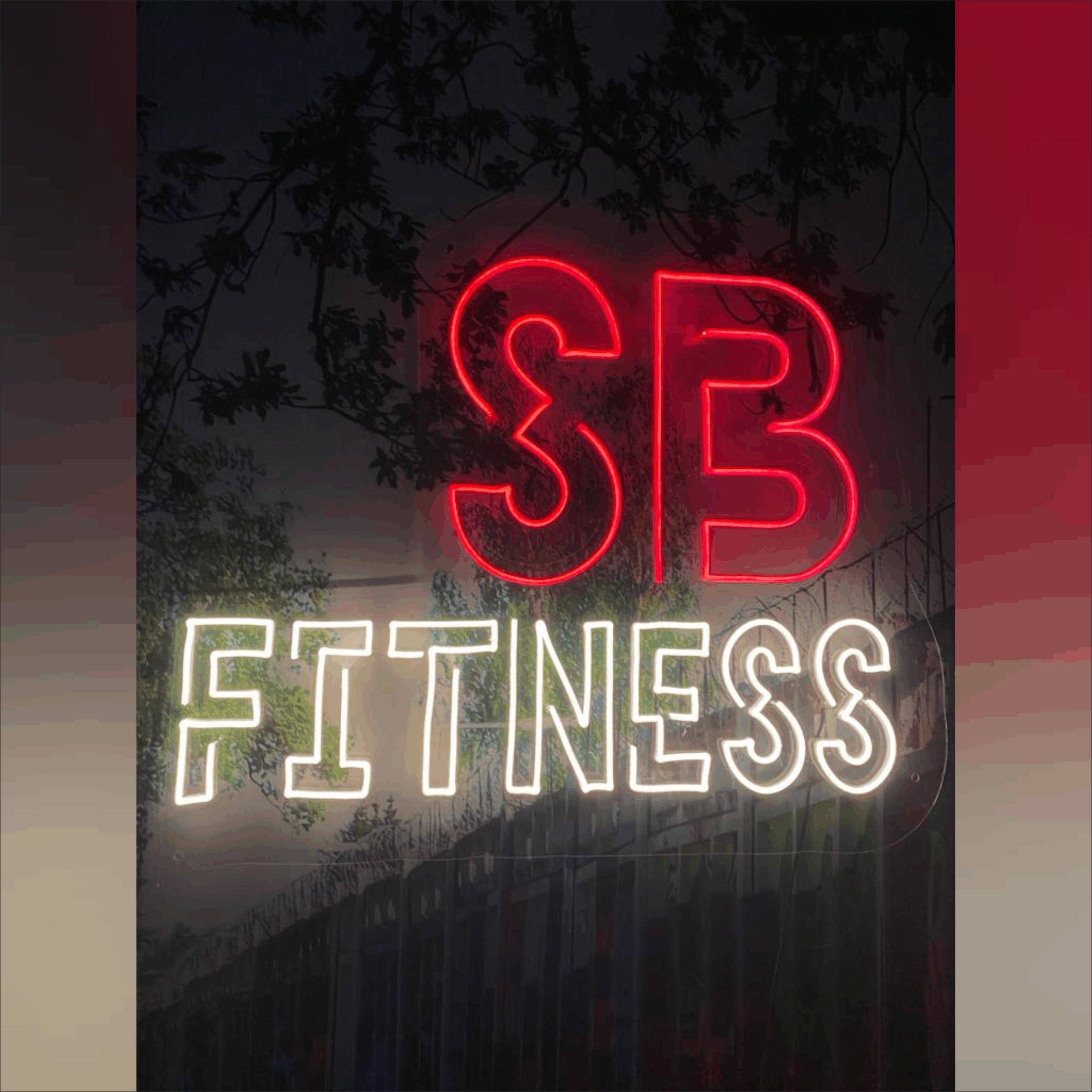 SB fitness neon sign
